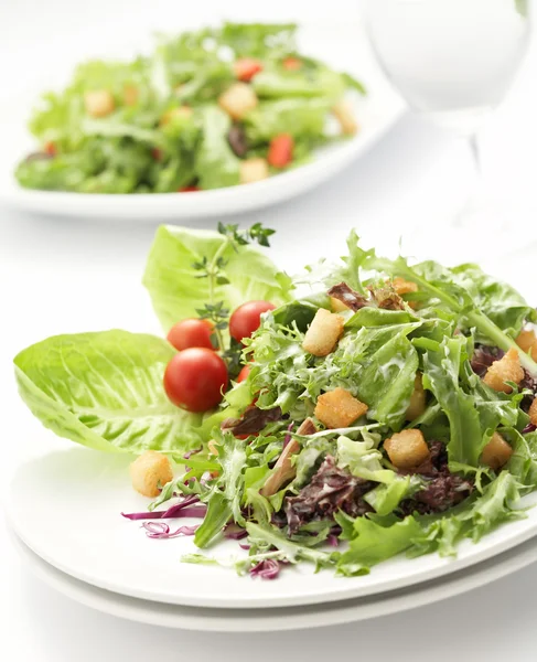 Groene salade — Stockfoto
