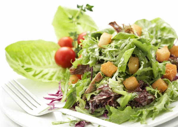 Close-up op groene salade — Stockfoto