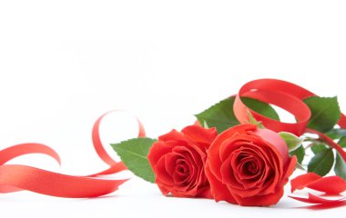 Two roses clipart