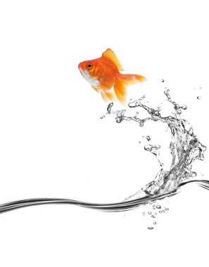 Goldfish jump clipart