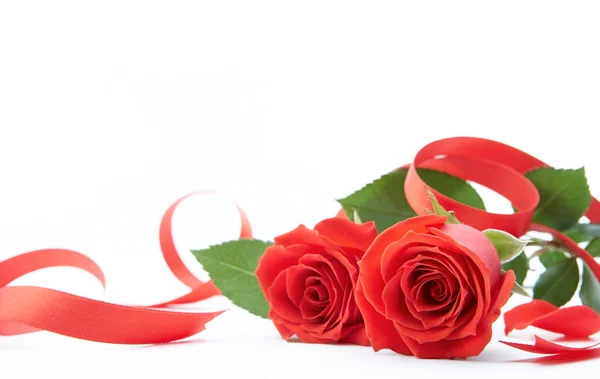 Duas rosas — Fotografia de Stock
