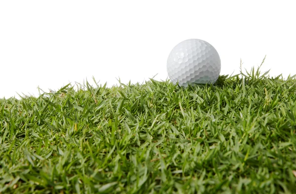 Golflabda füvön — Stock Fotó