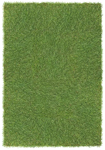 Großer Grashintergrund — Stockfoto