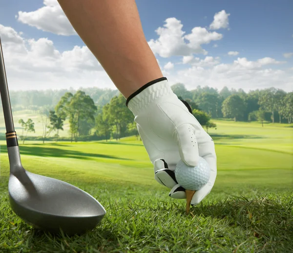 Tee up — Stockfoto