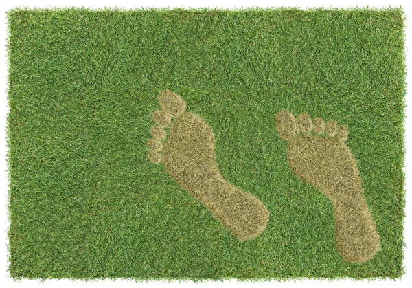 Следы на траве — стоковое фото
