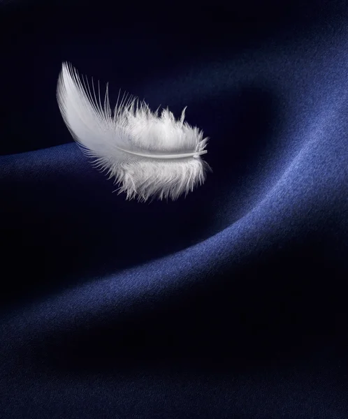 Feather and satin — Stock Photo, Image