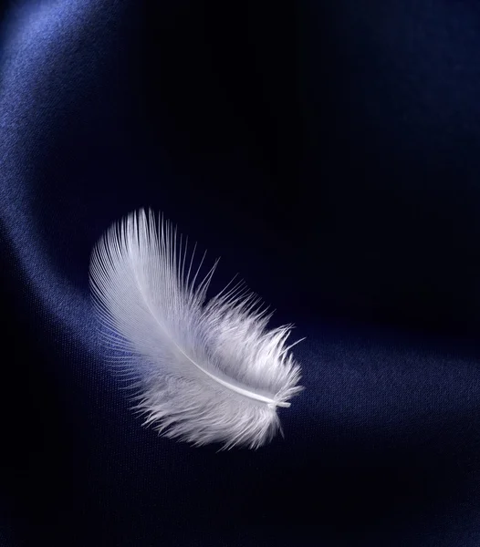 Feather with satin — Stock Photo, Image