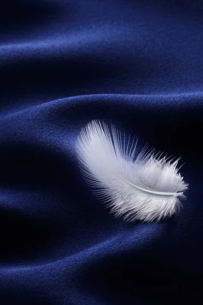 Feather on satin — Stock Photo, Image