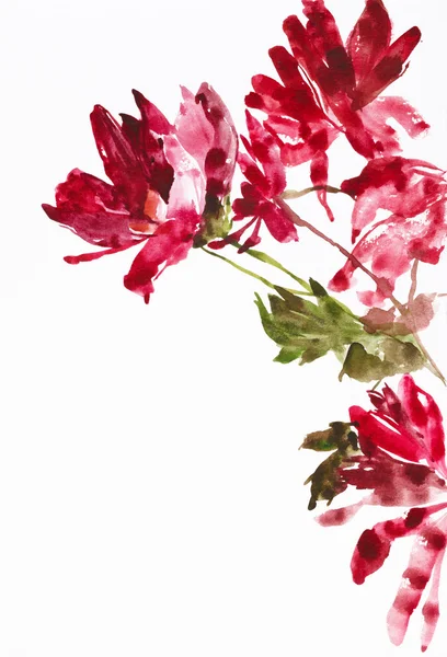 Blommor som bakgrund — Stockfoto