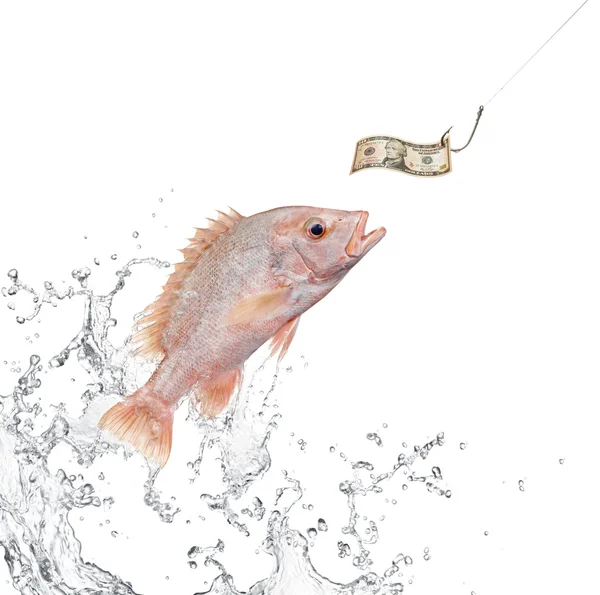 Fishing bait — Stock Photo, Image