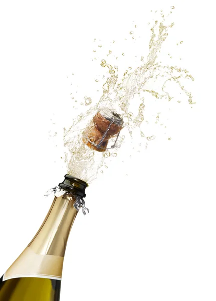 Champagne splashing — Stock Photo, Image
