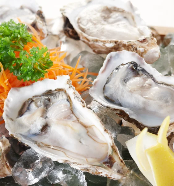 stock image Raw oysters