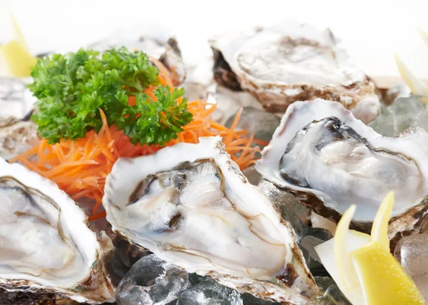 stock image Raw oysters