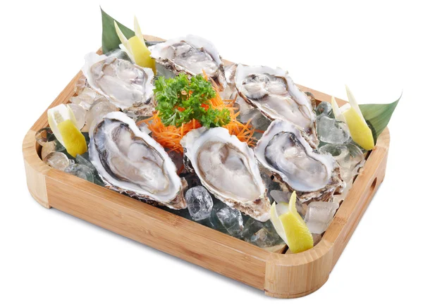 stock image Raw oyster