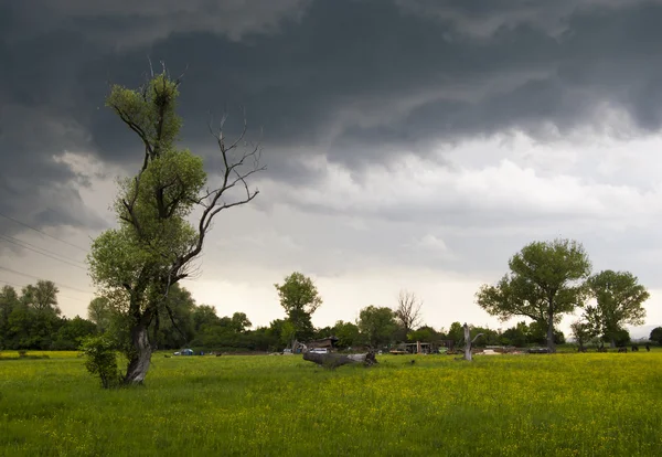 fırtınalı havalarda