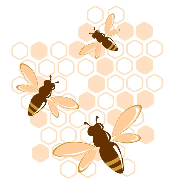Bin och honung — Stock vektor