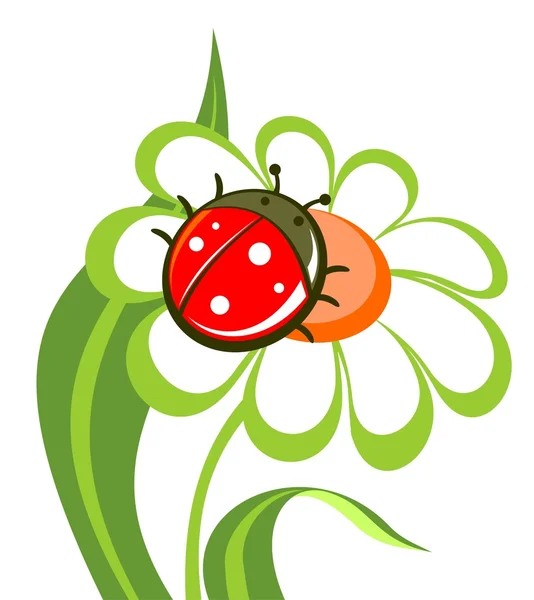Kwiat z biedronka — Wektor stockowy