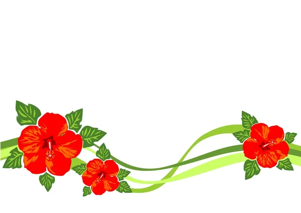 Kırmızı çiçekler ve şeritler — Stok Vektör
