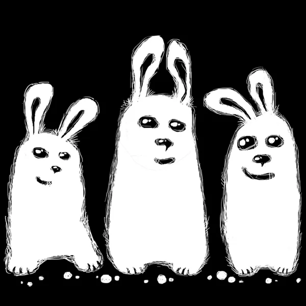 Three white rabbits — Stock Photo, Image