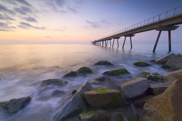 stock image The bridge