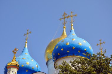 varsayım katedral kubbe