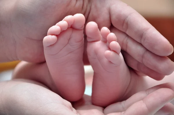 Ноги малыша — стоковое фото