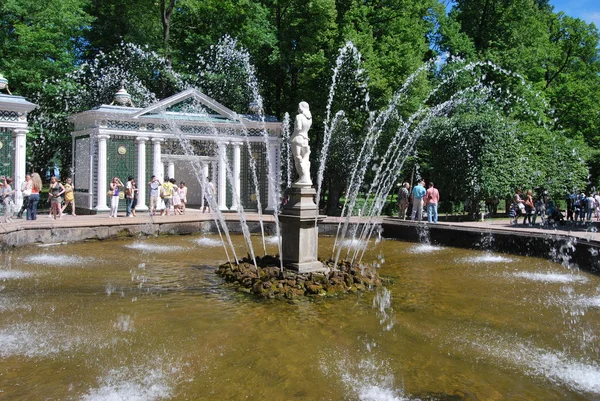 Garten des Peterhofs — Stockfoto