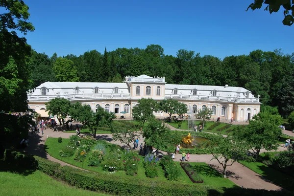 Parque en Peterhof —  Fotos de Stock