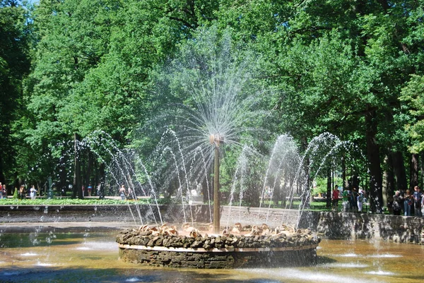 Brunnen "die sonne" in petrodworez (peterhof), st petersburg, russland. — Stockfoto