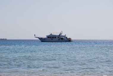 Kızıldeniz, White Yat