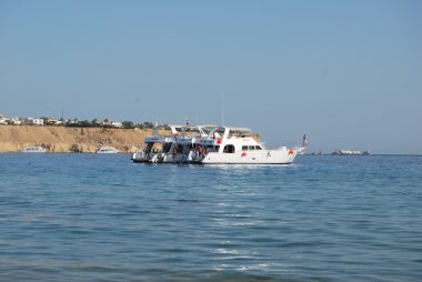 Kızıldeniz, White Yat