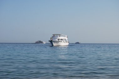 Kızıldeniz, White Yat