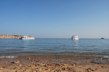 Kızıldeniz, White Yat