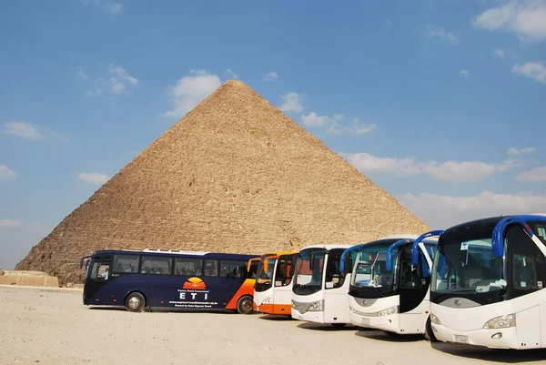 Египетская пирамида и автобусы — стоковое фото