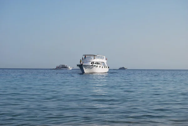 stock image White yacht at Red sea