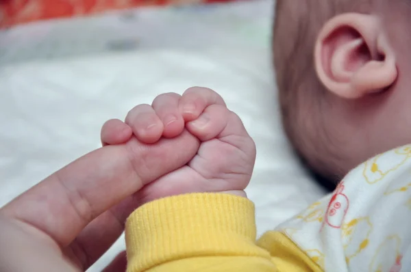 Baby 's hand holding mother' s finger — стоковое фото
