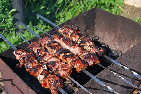 stock image Shashlik