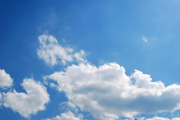 Jeleń niebieski niebo i chmury — Zdjęcie stockowe