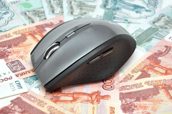 Computer mouse on money — Stock Photo, Image