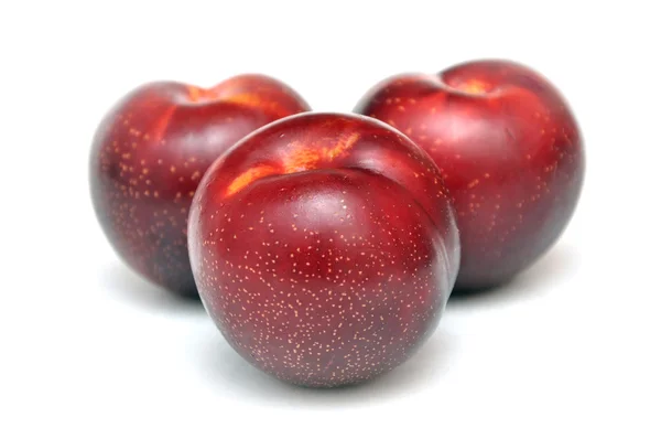 Červená švestka ovoce — Stock fotografie
