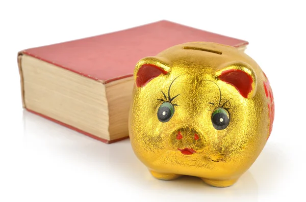 Piggy bank en boek — Stockfoto