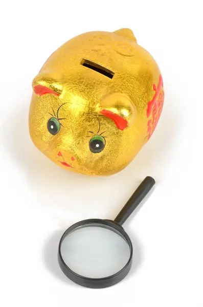 Magnifier and piggy bank — Stock Photo, Image