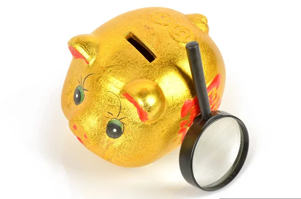Magnifier and piggy bank with coins — Stock Photo, Image