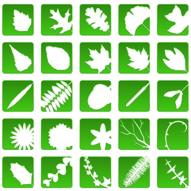 Plant icons clipart