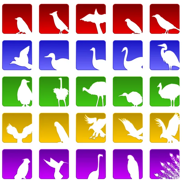 Ícones de pássaro —  Vetores de Stock