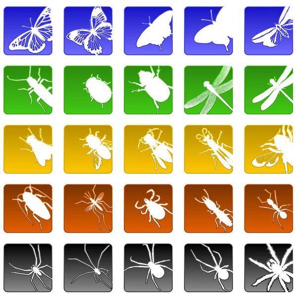Insect icons — Stock Vector