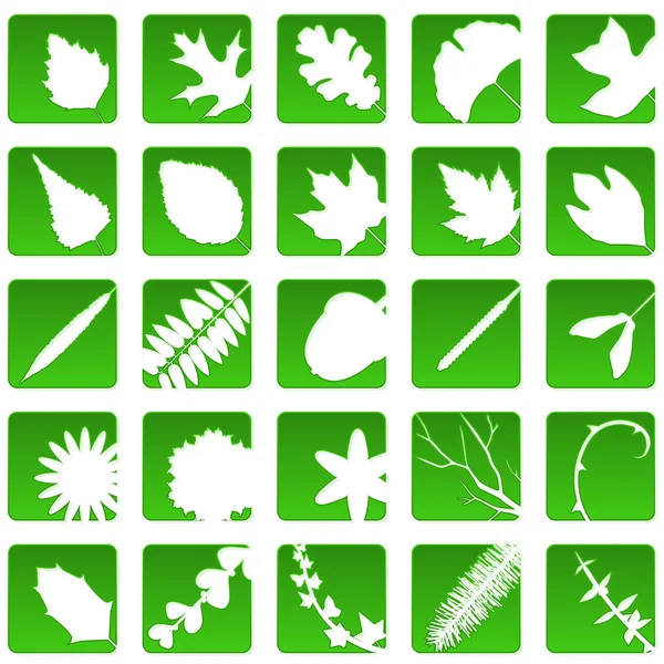 Icônes végétales — Image vectorielle