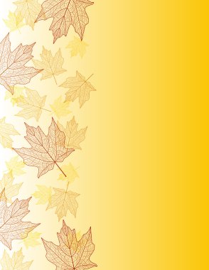 Maple leaf edge clipart