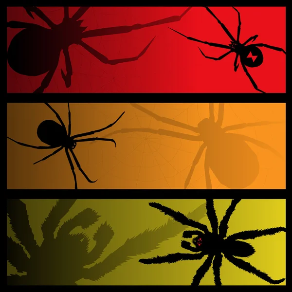 Spider banners — Stock Vector