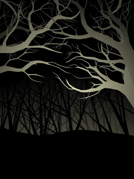 Canopée de forêt éclairée la nuit — Image vectorielle